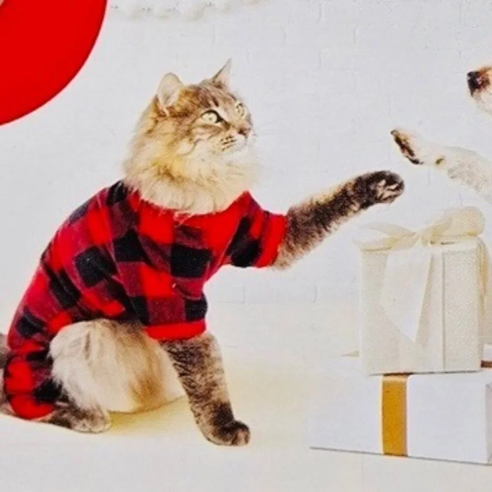 Buffalo Check Matching Family Cat / Small Dog Pajamas - Wondershop™ Red/Black -
